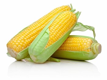 Corn - Image 1