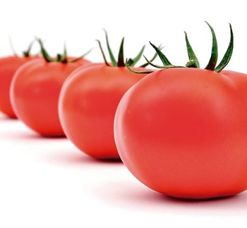 Fresh tomato - Image 1