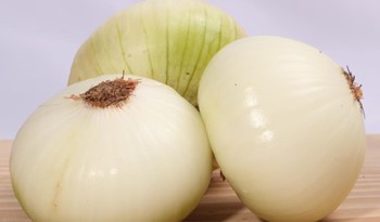 Onion - Image 1