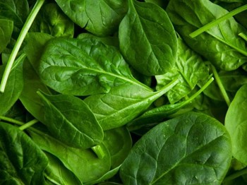Spinach - Image 1
